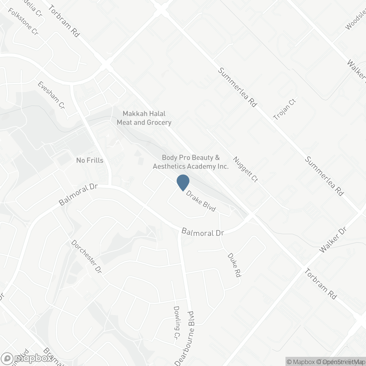 64 DRAKE BOULEVARD, Brampton, Ontario L6T 3K9